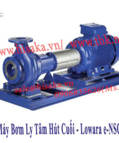 Máy Bơm Ly Tâm Hút Cuối - Lowara e-NSC