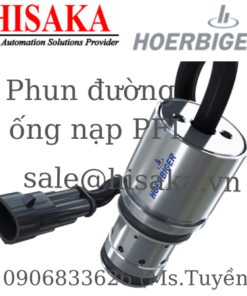 Phun đường ống nạp PFI - HOERBIGER