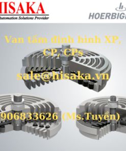 Van tấm định hình XP, CP, CPs - HOERBIGER