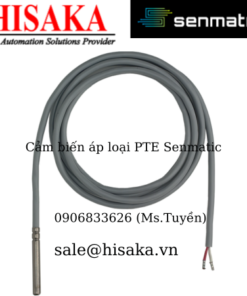 Cảm biến áp loại PTE Senmatic