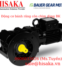 Động cơ bánh răng côn chìm dòng BK