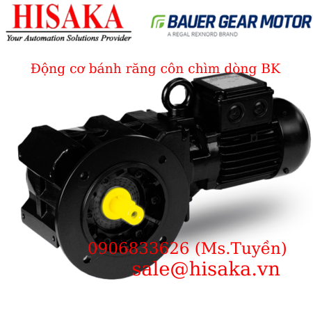 Động cơ bánh răng côn chìm dòng BK
