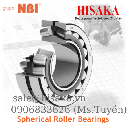 Vòng bi cầu NBI dòng SRB