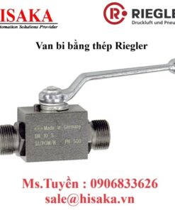 Van bi bằng thép Riegler